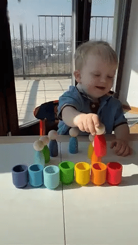MiniMundos Montessori™ | Juego de Clasificación y Colores